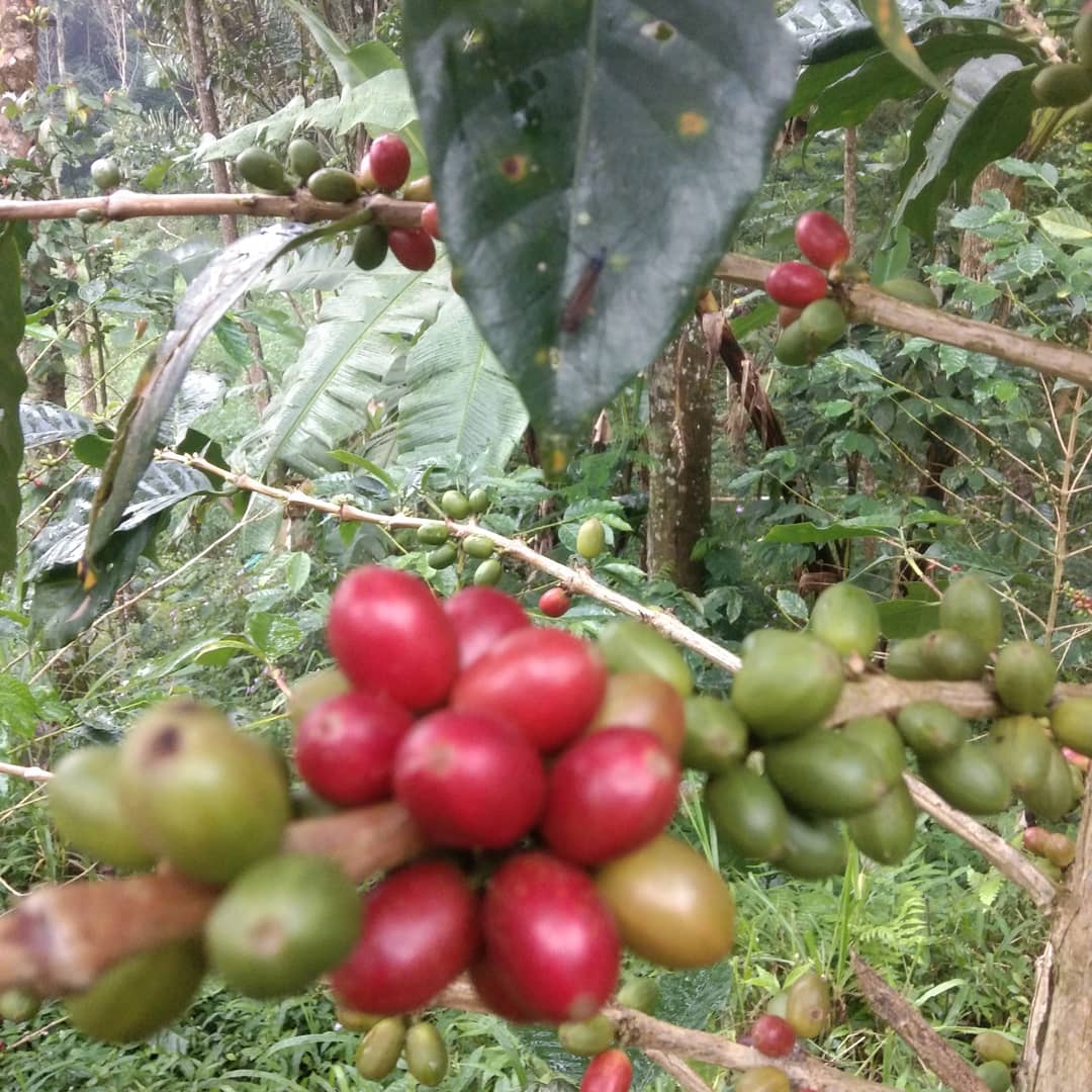 WhatsApp Image 2022-07-16 at 08.55.18 (1)