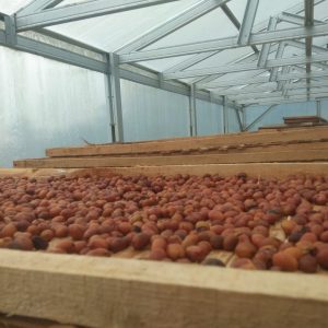 WhatsApp Image 2022-07-16 at 08.55.16 (2)