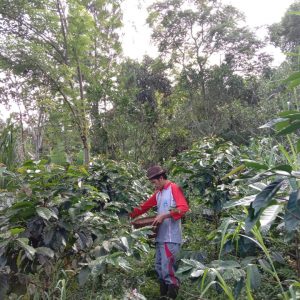 WhatsApp Image 2022-07-16 at 08.55.17 (2)