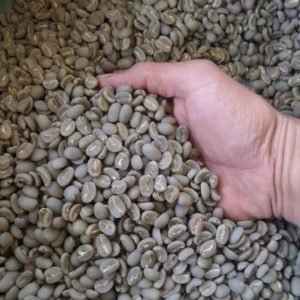 WhatsApp Image 2022-07-20 at 14.43.18